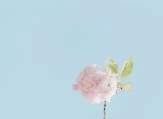 乐鱼娱乐