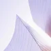乐鱼娱乐深耕乐鱼官网领域，用心服务每一位用户。 - 乐鱼娱乐